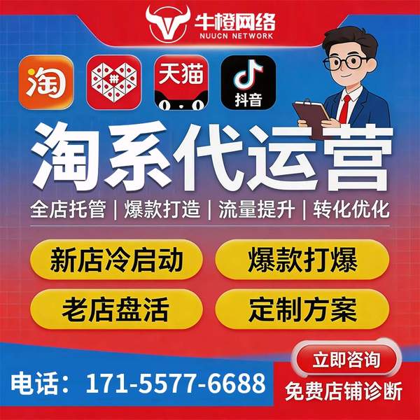 德州电商代运营