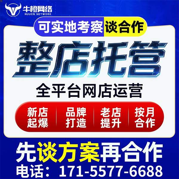 德州电商代运营