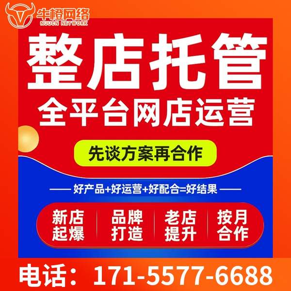德州电商代运营