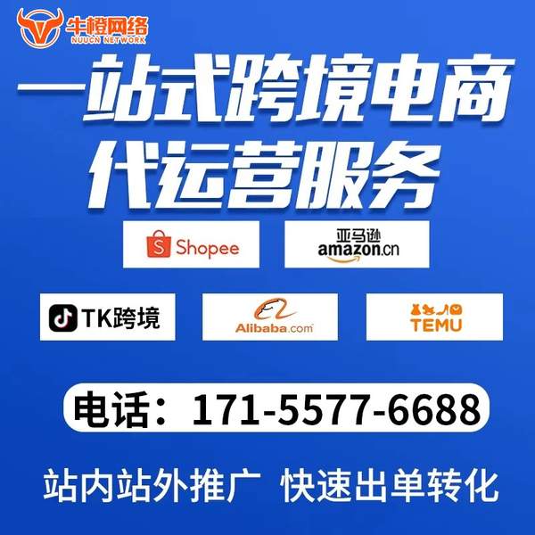 德州电商代运营