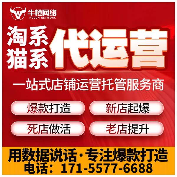 德州电商代运营